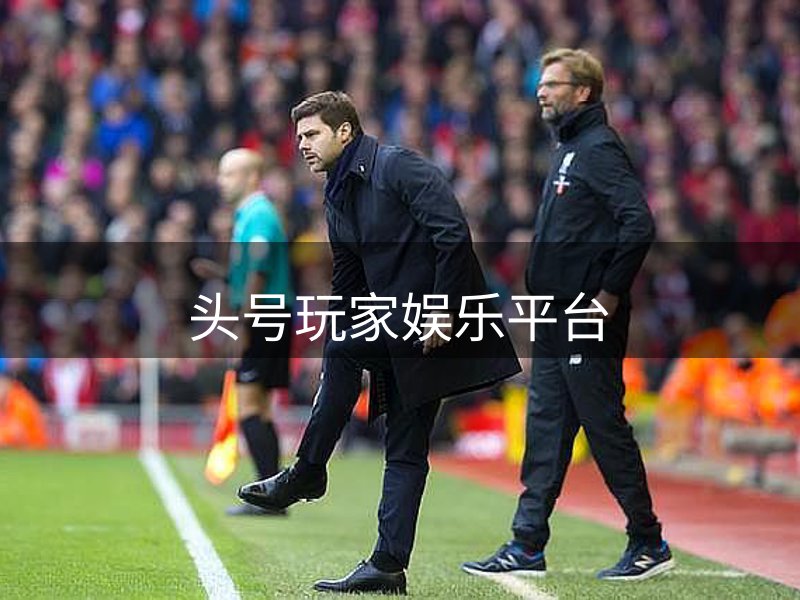 公司未来方向